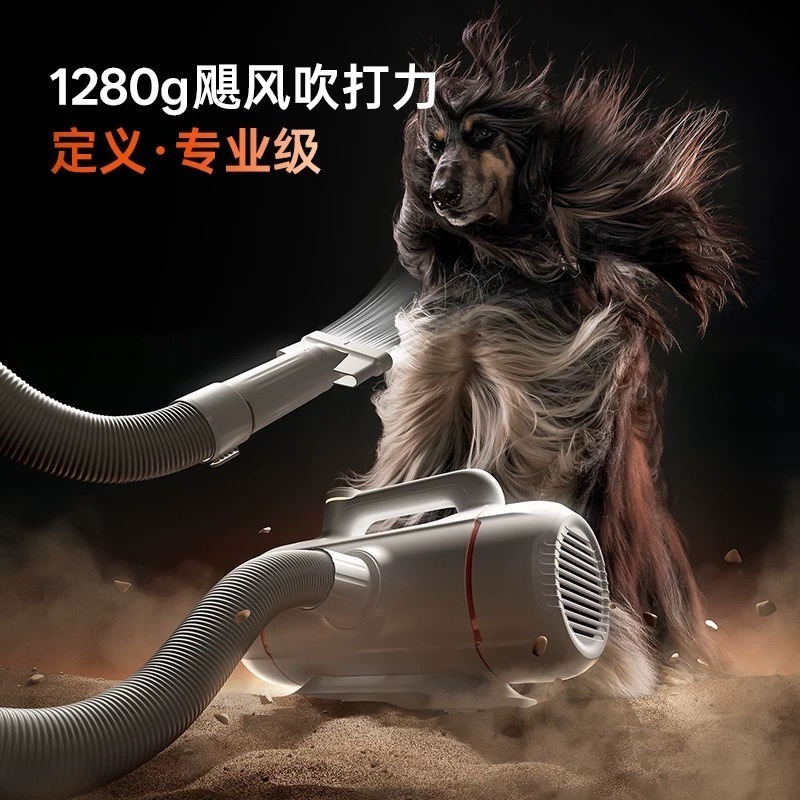Honden- en kattenföhn, profess - Hand Tools Mechanical Workshop recensie en prijs